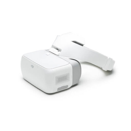 DJI Goggles