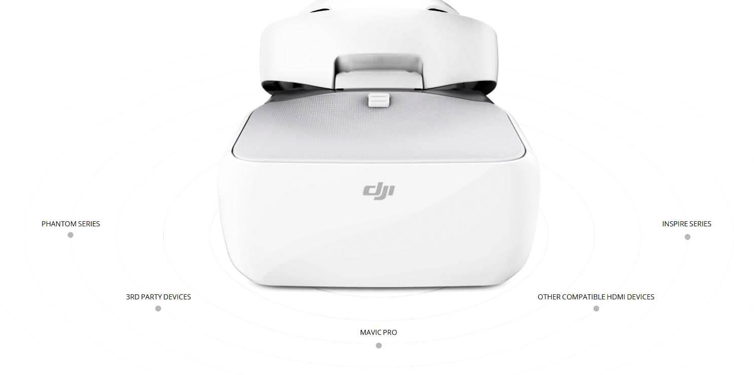 DJI Goggles