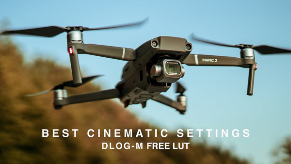 LUT…Cosa sono e come configurarle correttamente su Final Cut Pro X - DJI  Authorized Retail Store