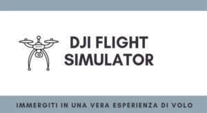dji_flight_simulator