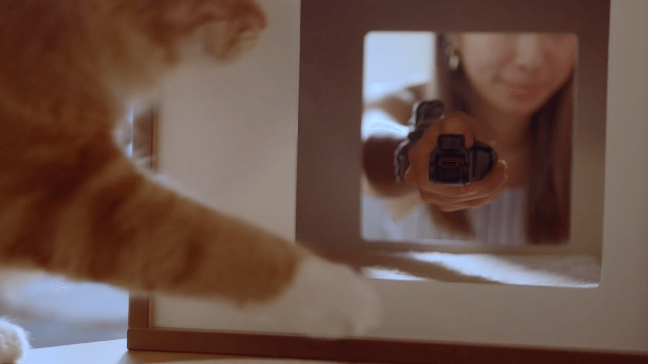 dji_osmo_pocket_flashlightmode