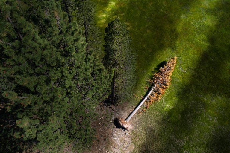foto con drone dji