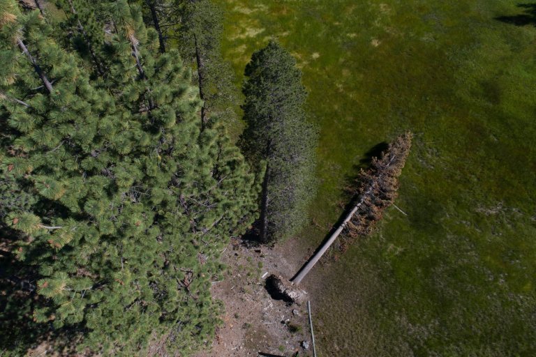 foto con drone dji