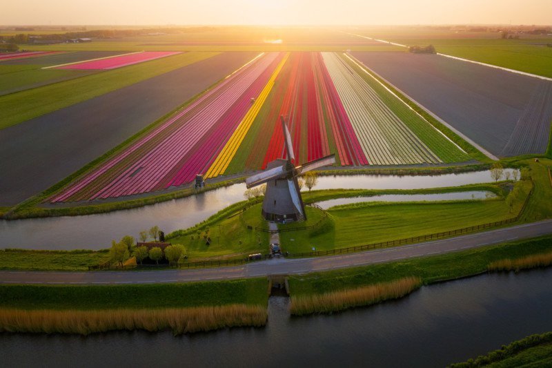 dji_drone1