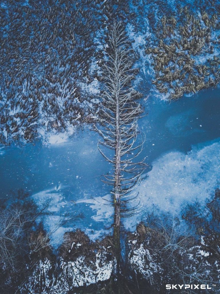 tree silhouette against ice lake