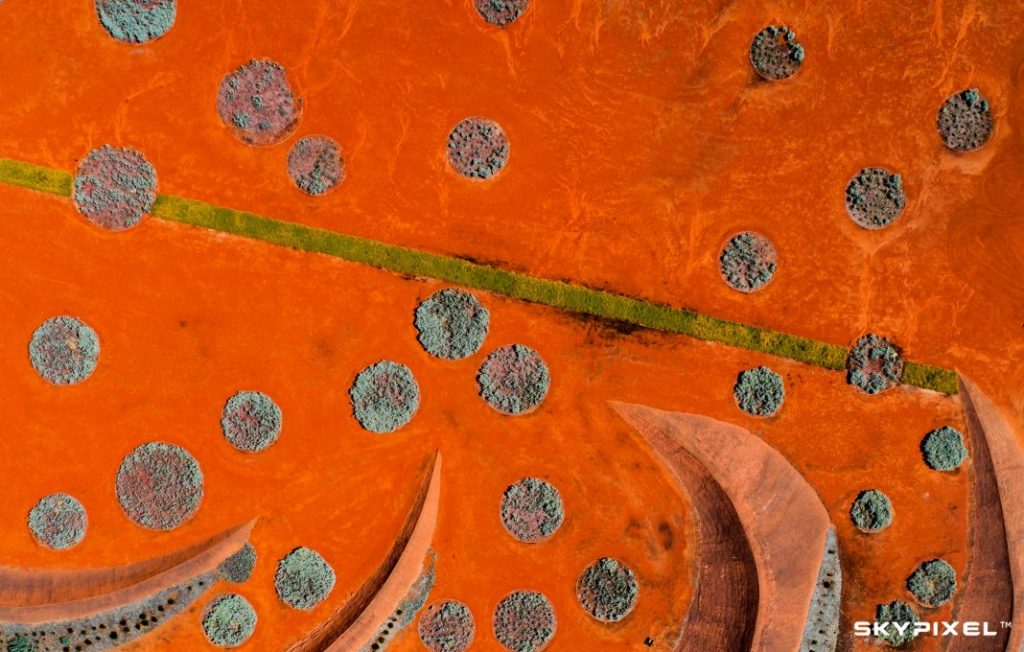 veduta dall'alto deserto sabbia rossa con alberi