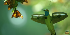 drone-hummingbird