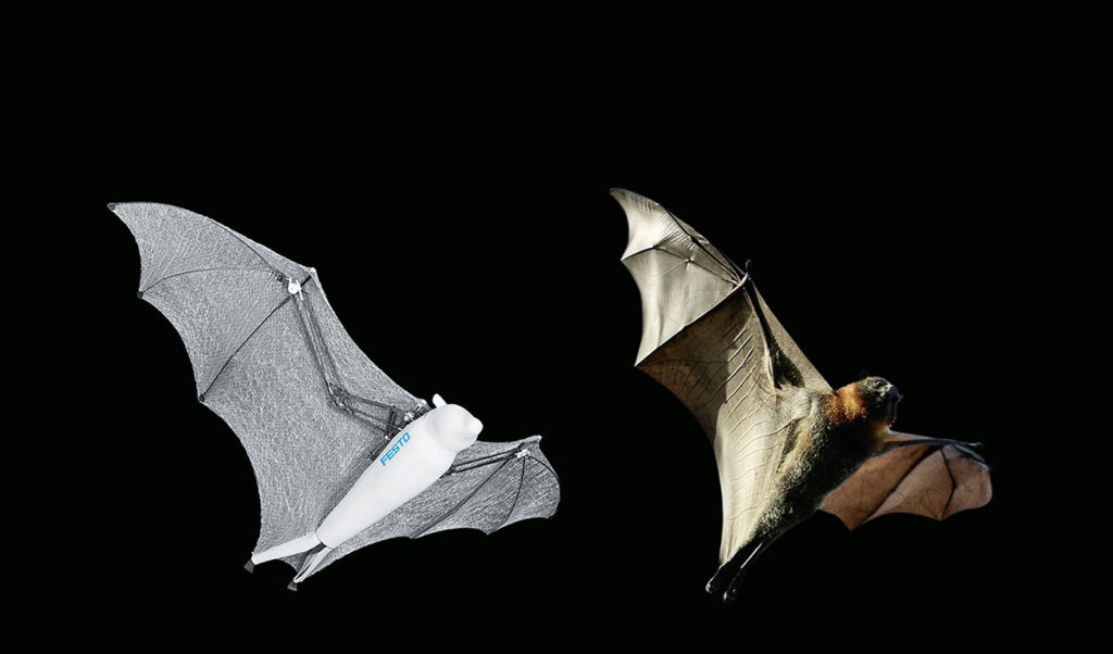 pipistrello robot