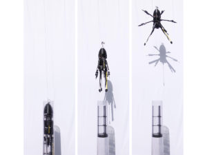 squid_drone