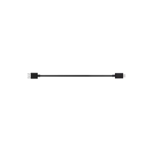 DJI R Mini-HDMI to HDMI Cable (20 cm)