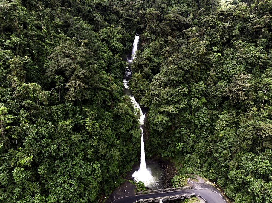 costa rica giungla