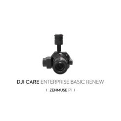 DJI Care Enterprise Basic Renew P1